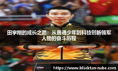 B体育官网